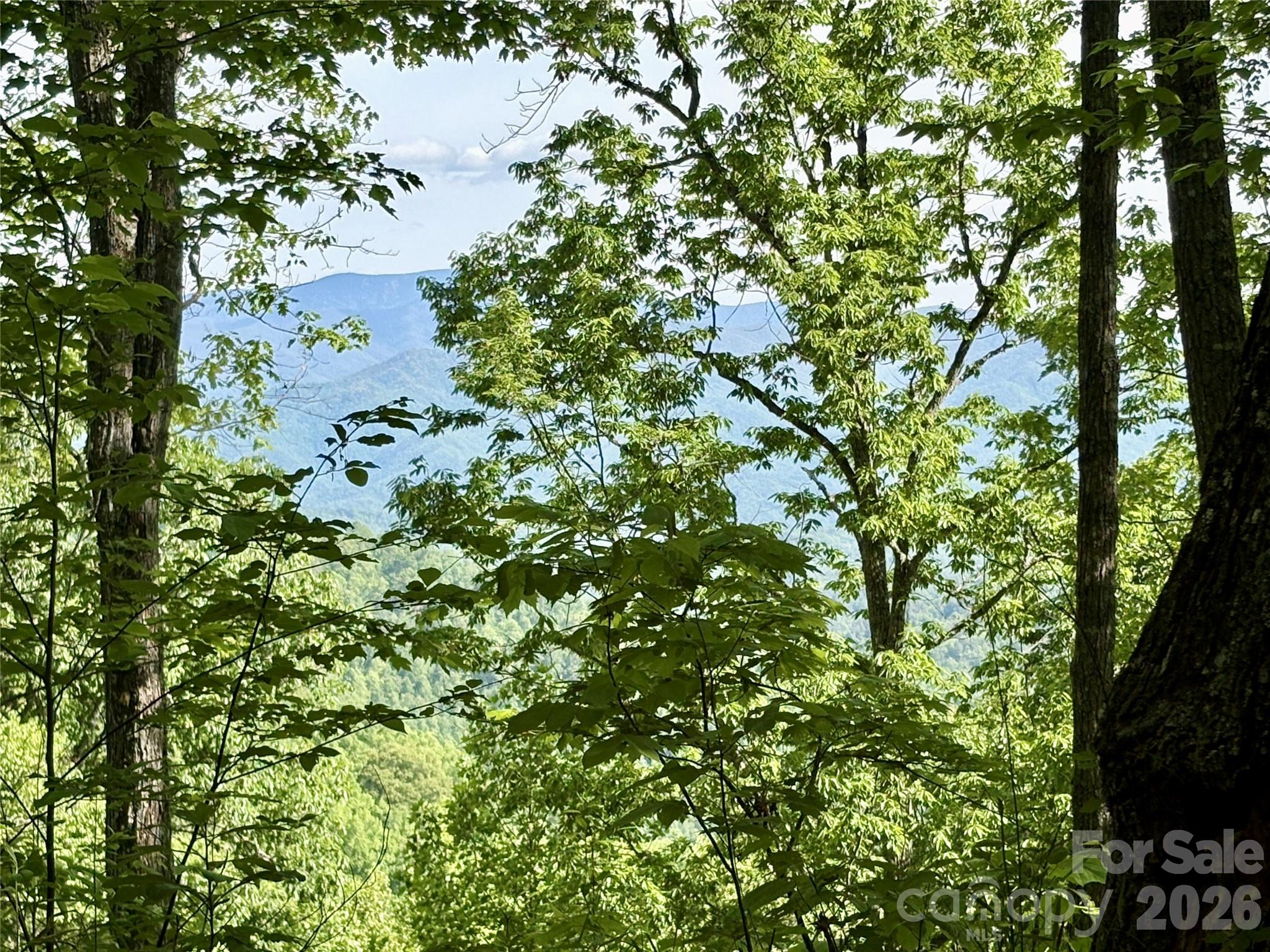 0 Carpenter Road Bryson City NC 28713