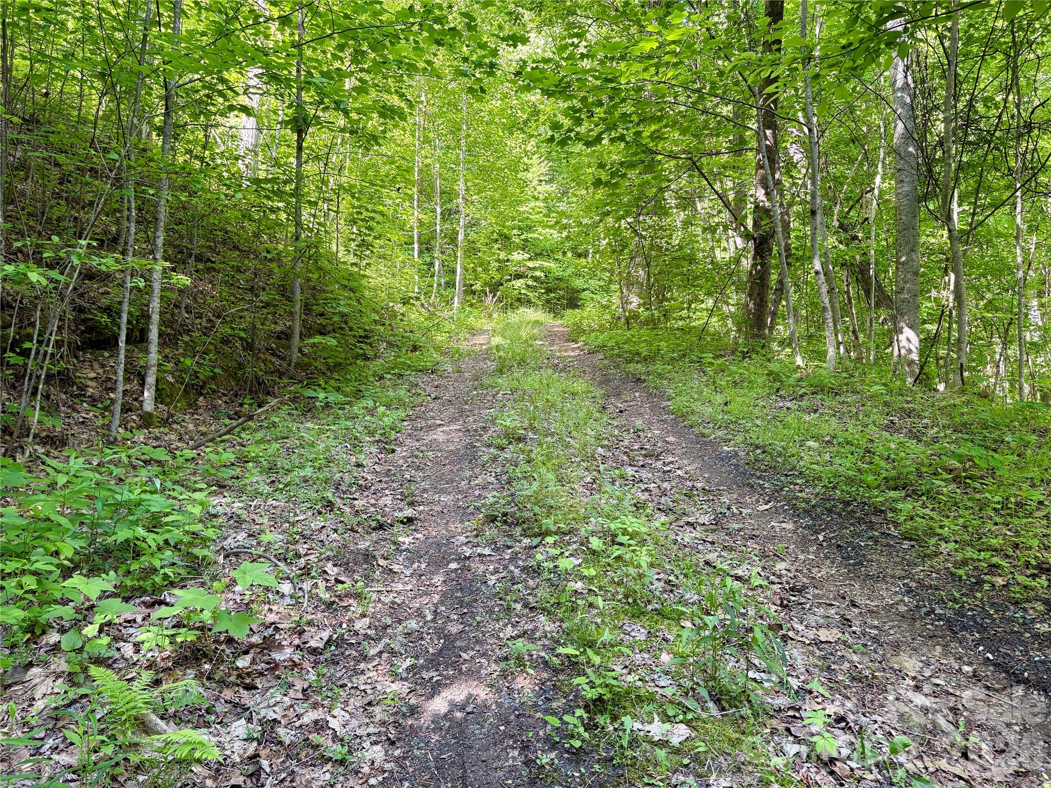 0 Carpenter Road Bryson City NC 28713