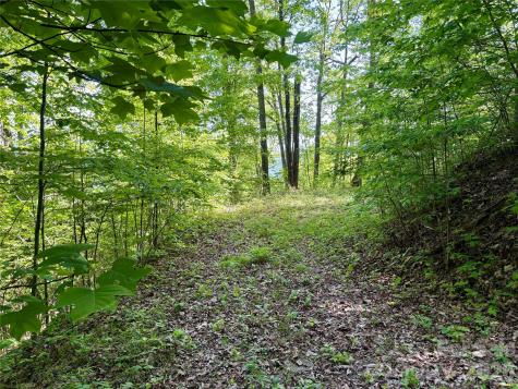 0 Carpenter Road Bryson City NC 28713