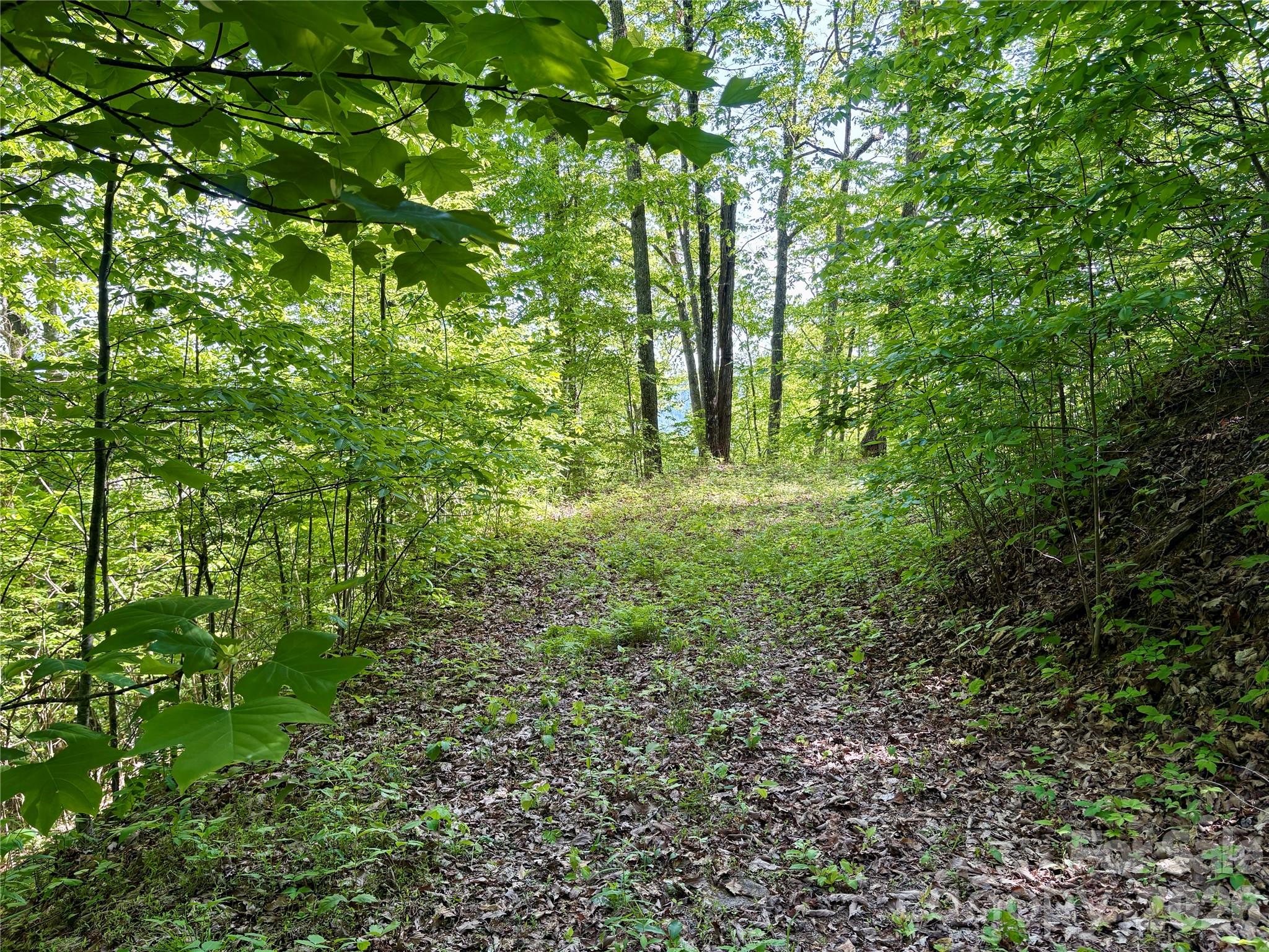 0 Carpenter Road Bryson City NC 28713