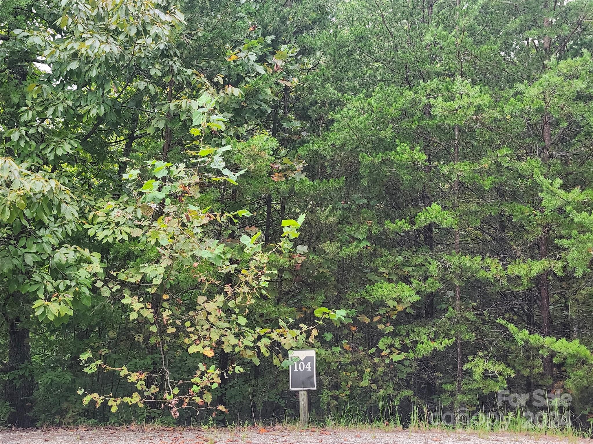 Lot 104 Boysenberry Drive Nebo NC 28761