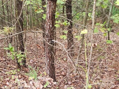 Lot 104 Boysenberry Drive Nebo NC 28761