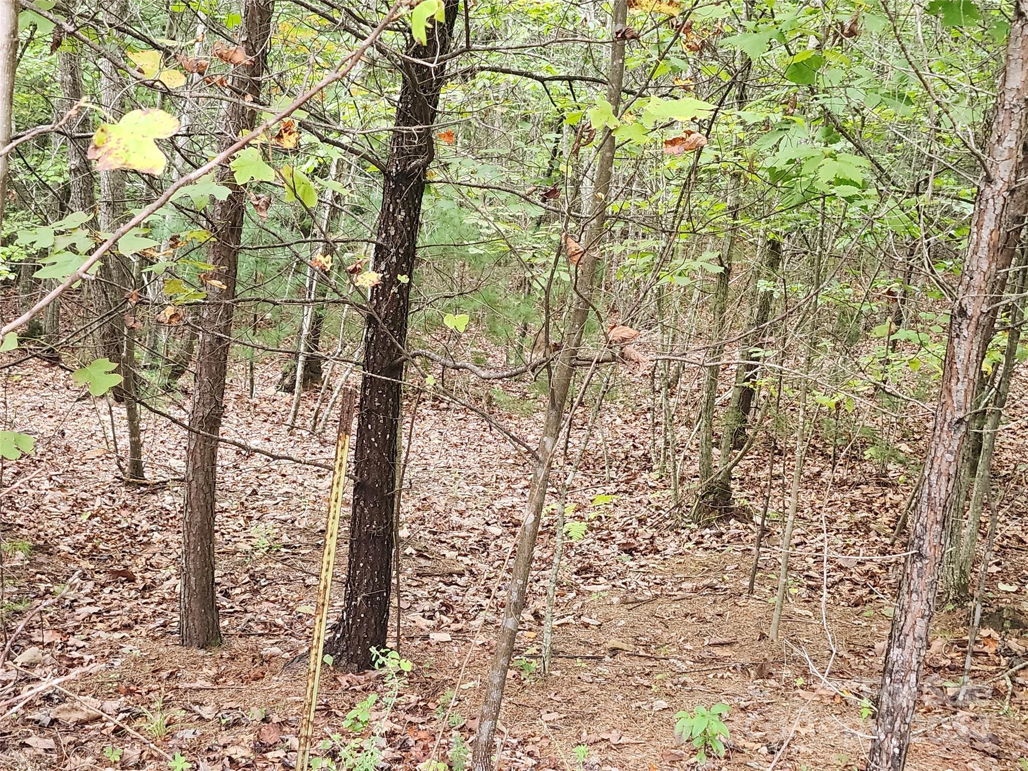 Lot 104 Boysenberry Drive Nebo NC 28761