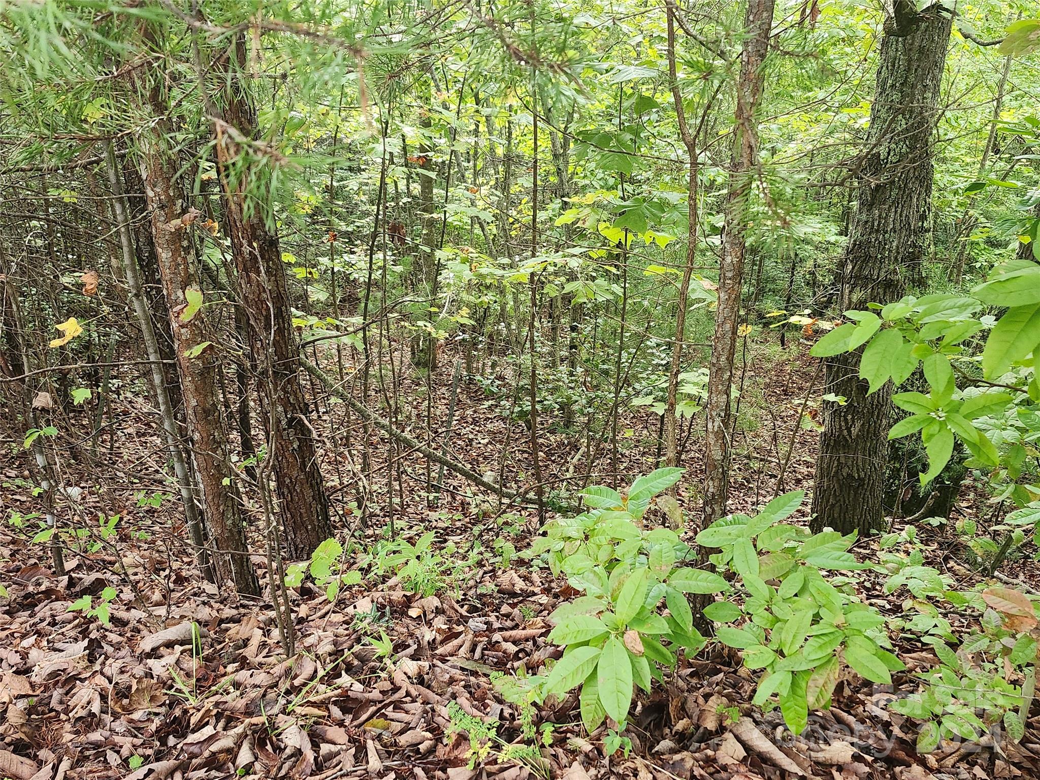Lot 104 Boysenberry Drive Nebo NC 28761