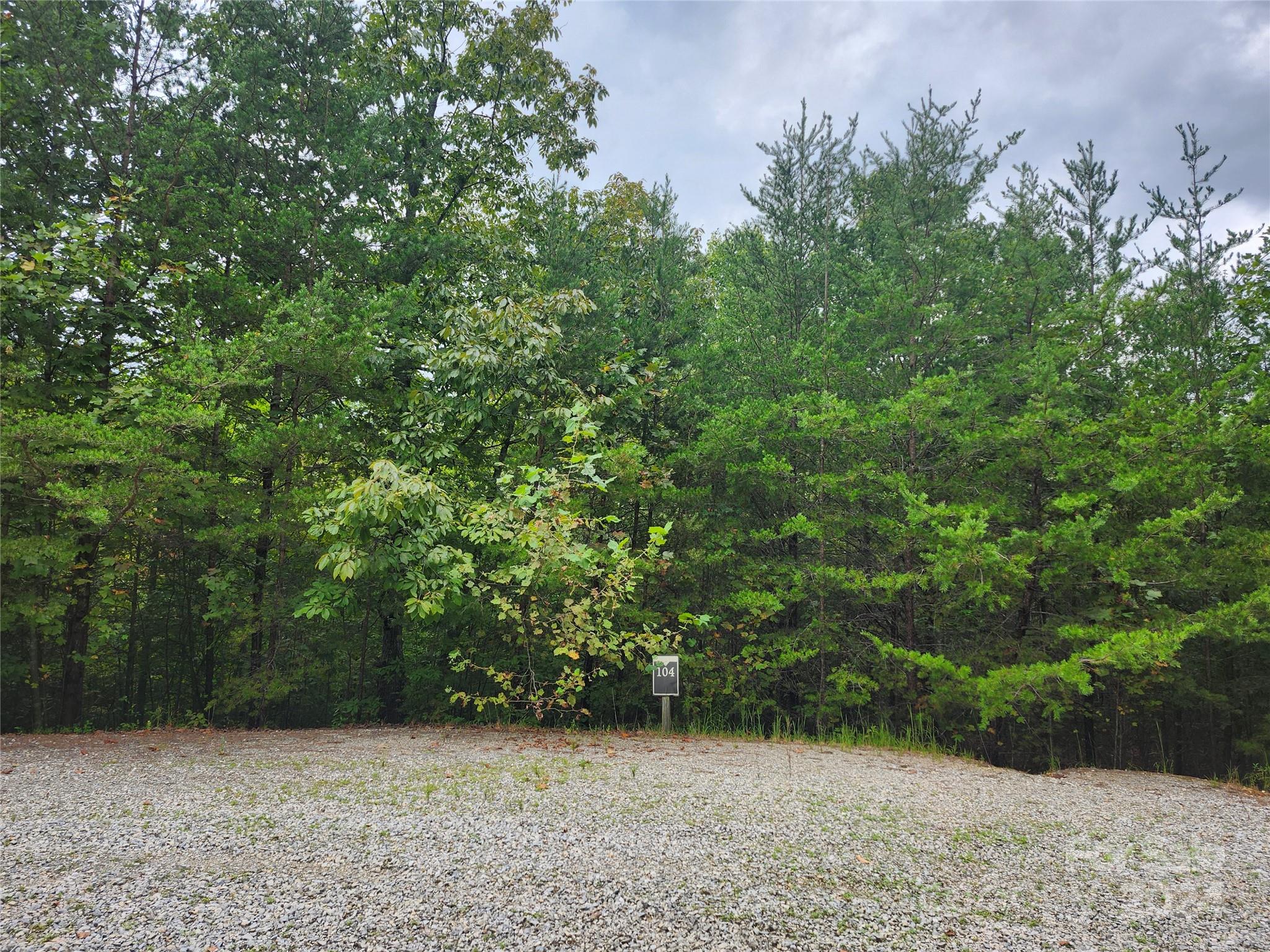 Lot 104 Boysenberry Drive Nebo NC 28761