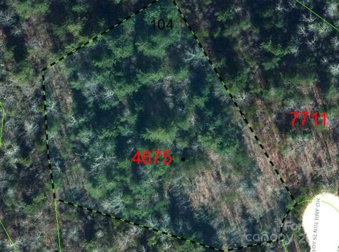 Lot 104 Boysenberry Drive Nebo NC 28761