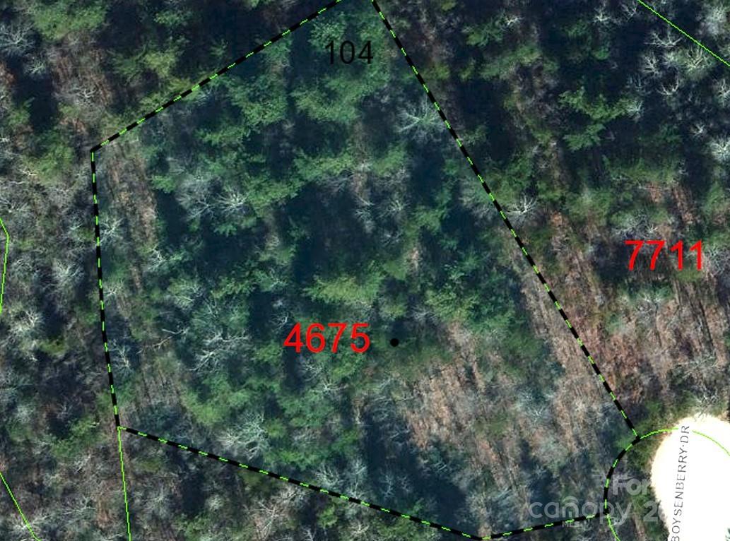 Lot 104 Boysenberry Drive Nebo NC 28761