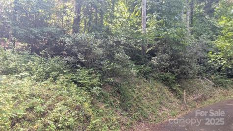00 Chestnut Walk Drive Waynesville NC 28786
