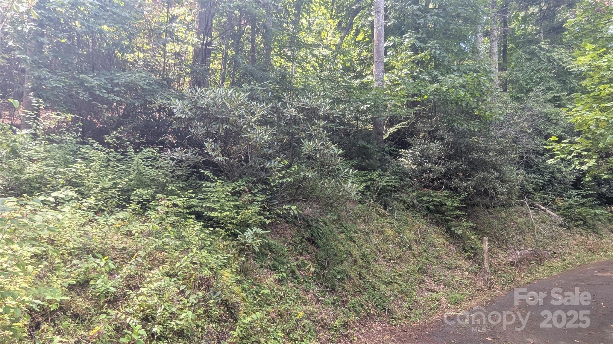 00 Chestnut Walk Drive Waynesville NC 28786