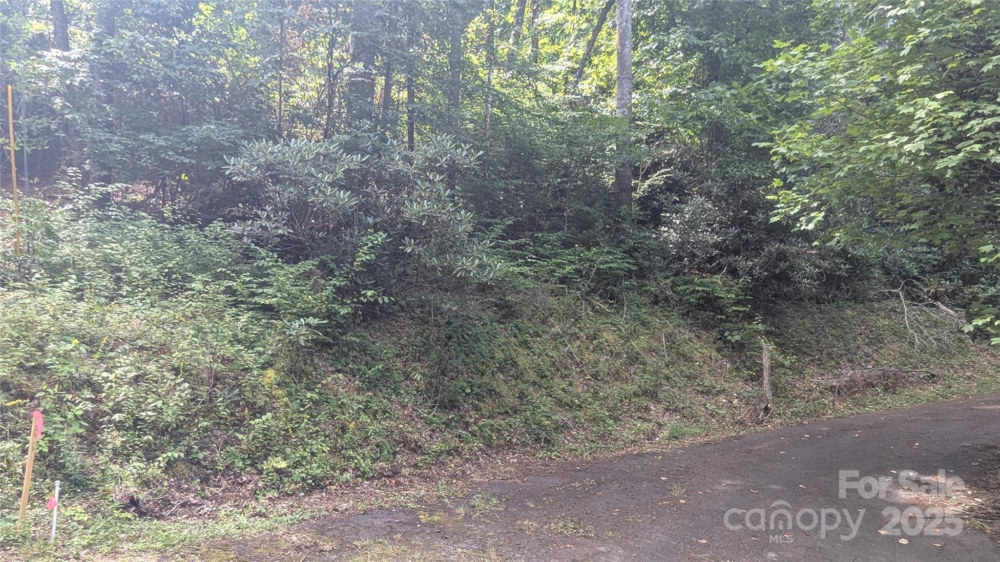 00 Chestnut Walk Drive Waynesville NC 28786