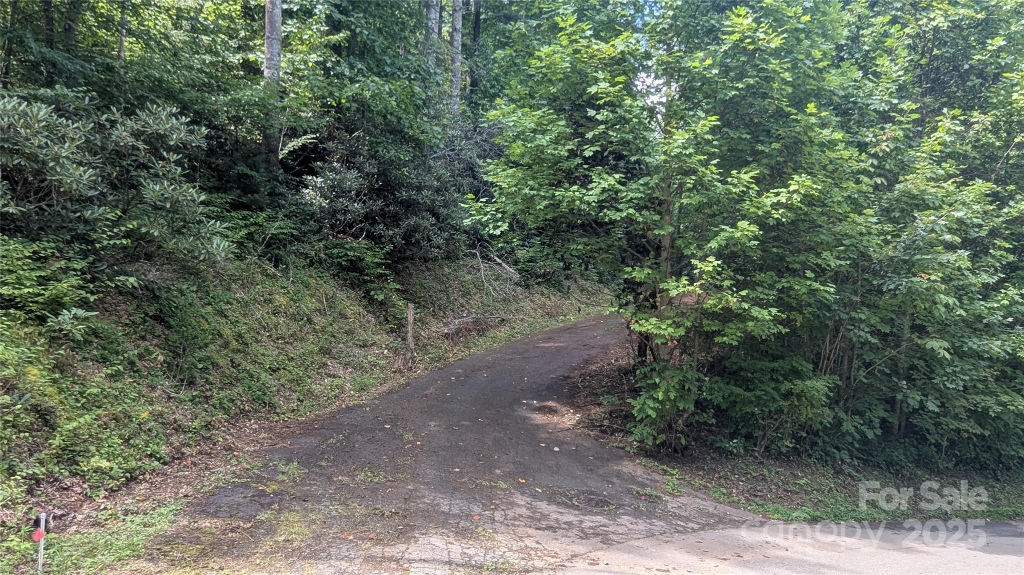00 Chestnut Walk Drive Waynesville NC 28786