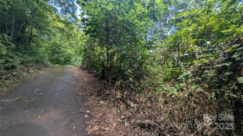 00 Chestnut Walk Drive Waynesville NC 28786