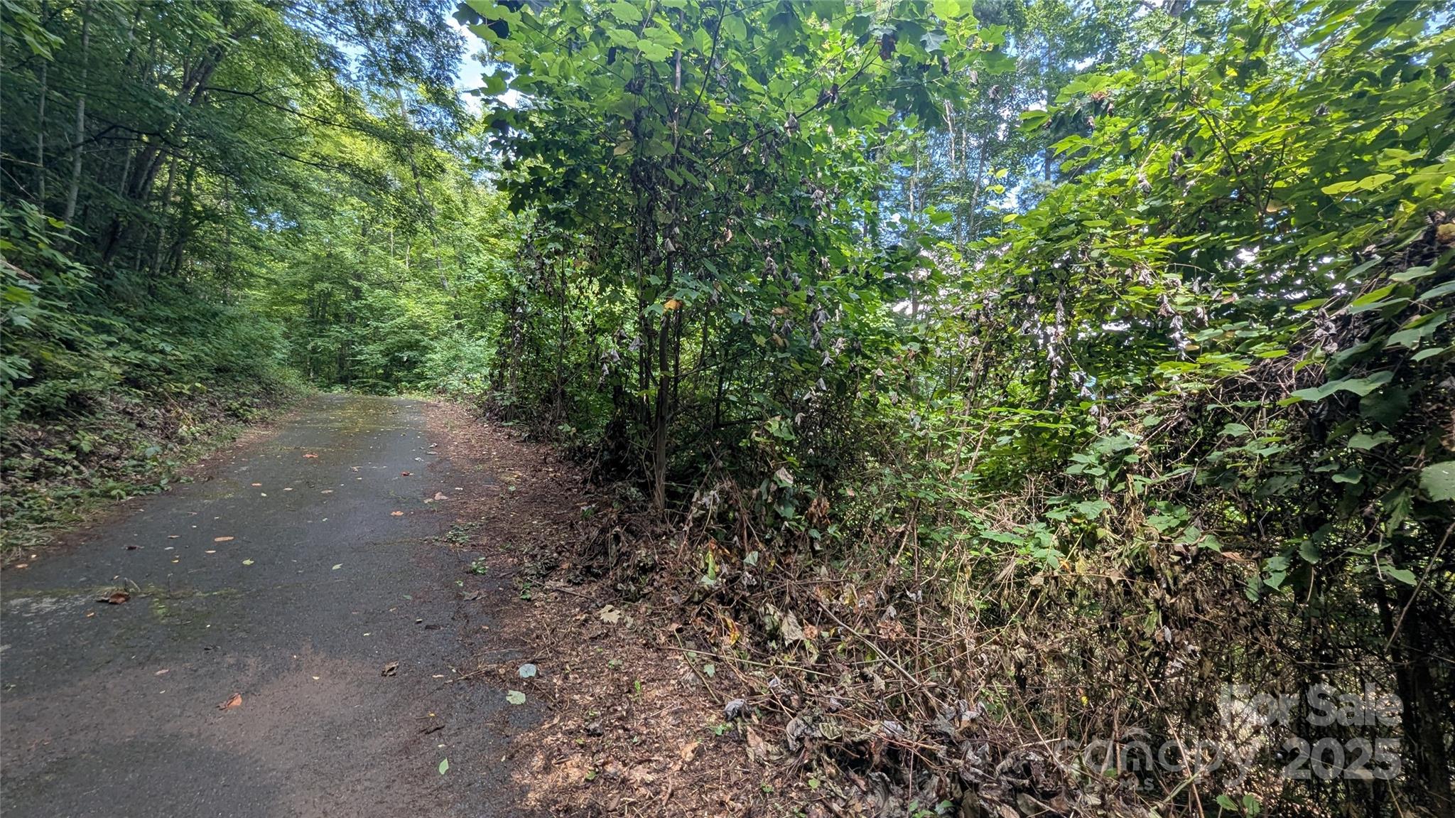 00 Chestnut Walk Drive Waynesville NC 28786