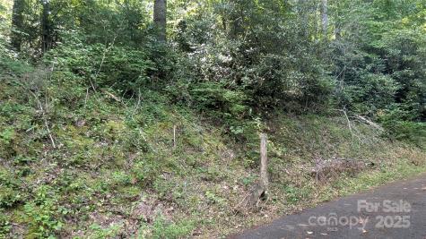 00 Chestnut Walk Drive Waynesville NC 28786