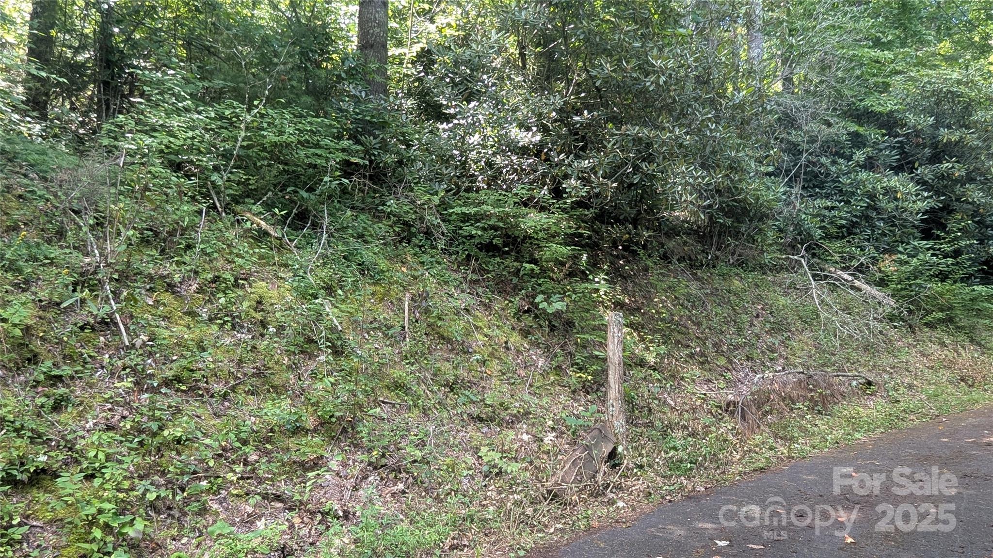 00 Chestnut Walk Drive Waynesville NC 28786