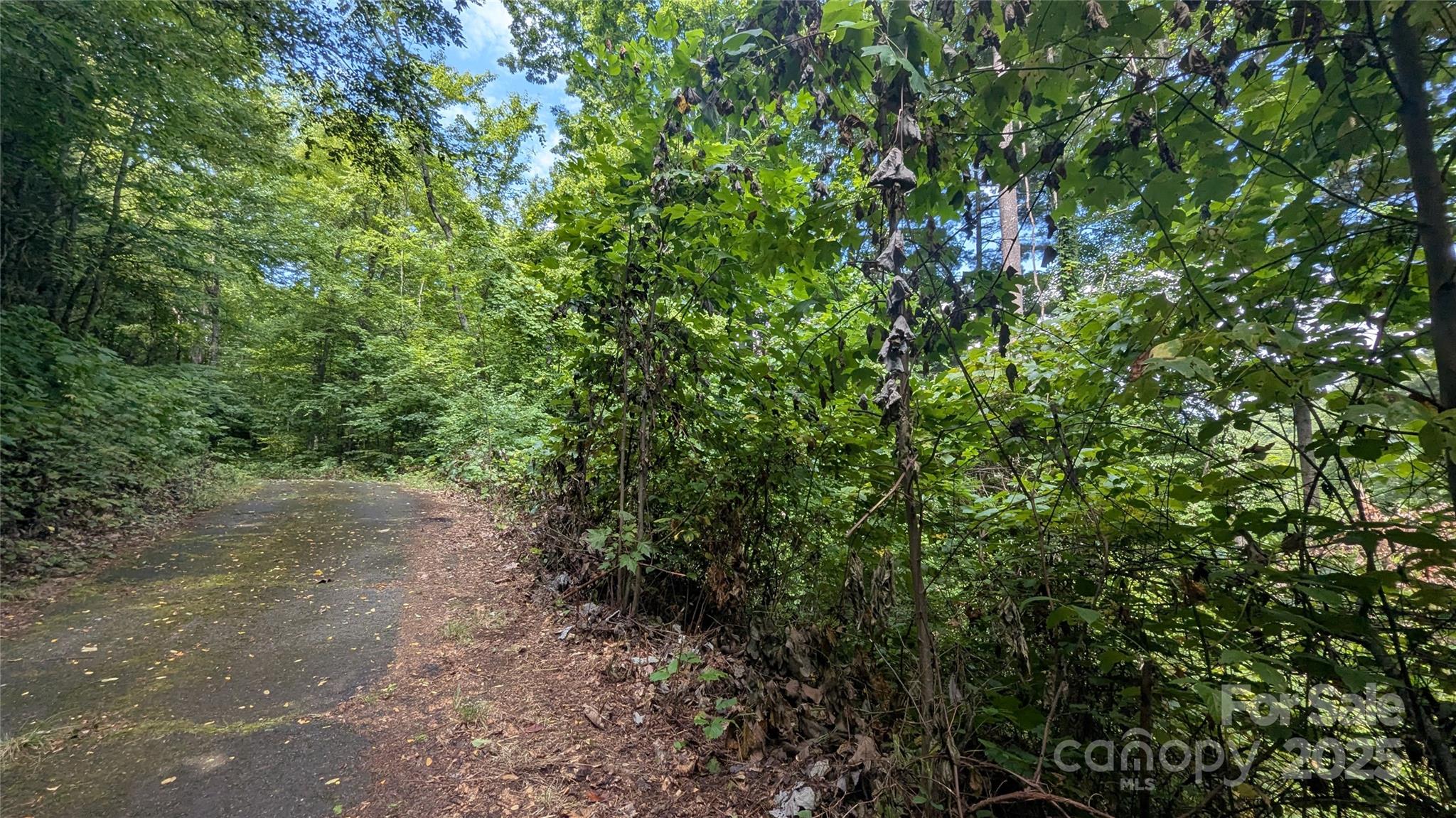 00 Chestnut Walk Drive Waynesville NC 28786