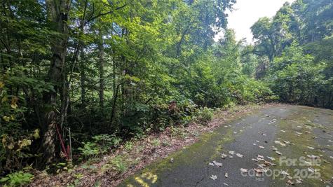 00 Chestnut Walk Drive Waynesville NC 28786