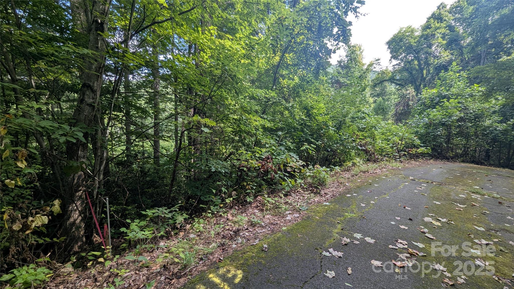 00 Chestnut Walk Drive Waynesville NC 28786