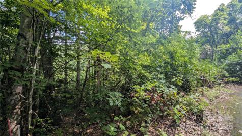 00 Chestnut Walk Drive Waynesville NC 28786