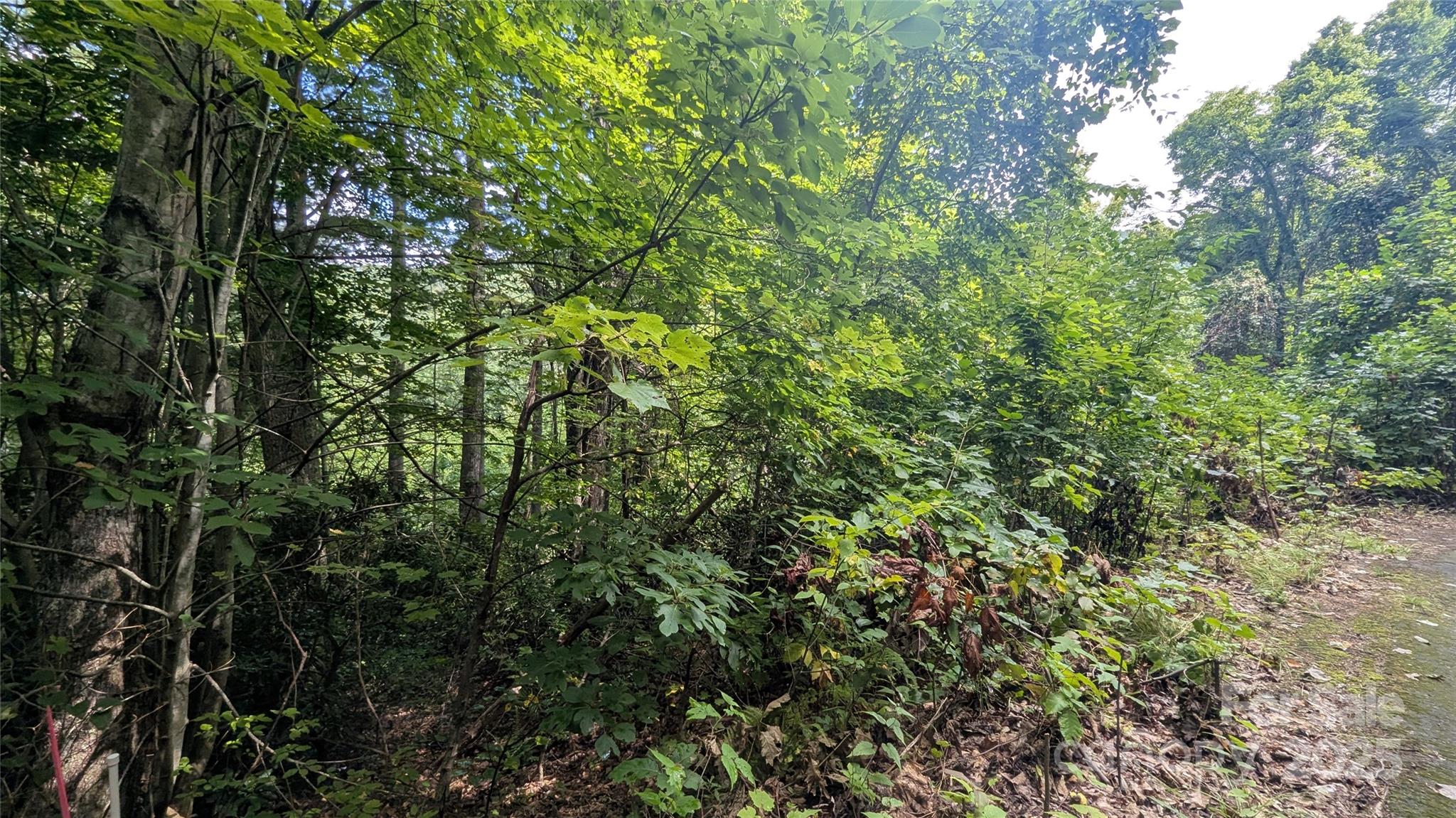 00 Chestnut Walk Drive Waynesville NC 28786