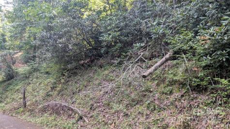 00 Chestnut Walk Drive Waynesville NC 28786