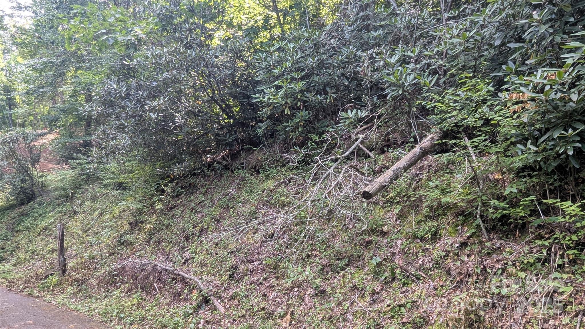 00 Chestnut Walk Drive Waynesville NC 28786