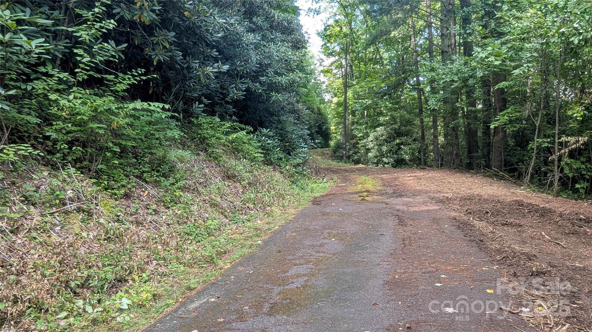 00 Chestnut Walk Drive Waynesville NC 28786
