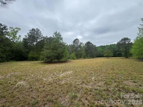 0000 Daniel Chapel Road McColl SC 29570