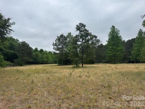 0000 Daniel Chapel Road McColl SC 29570