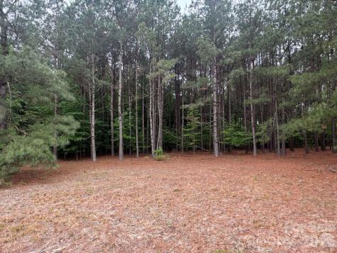0000 Daniel Chapel Road McColl SC 29570