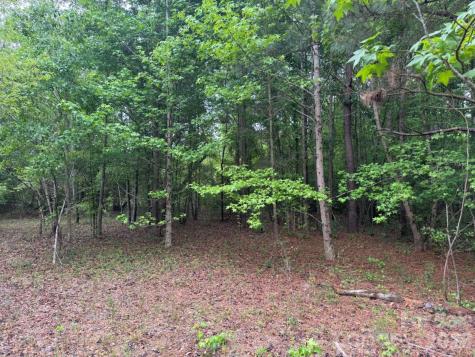 0000 Daniel Chapel Road McColl SC 29570