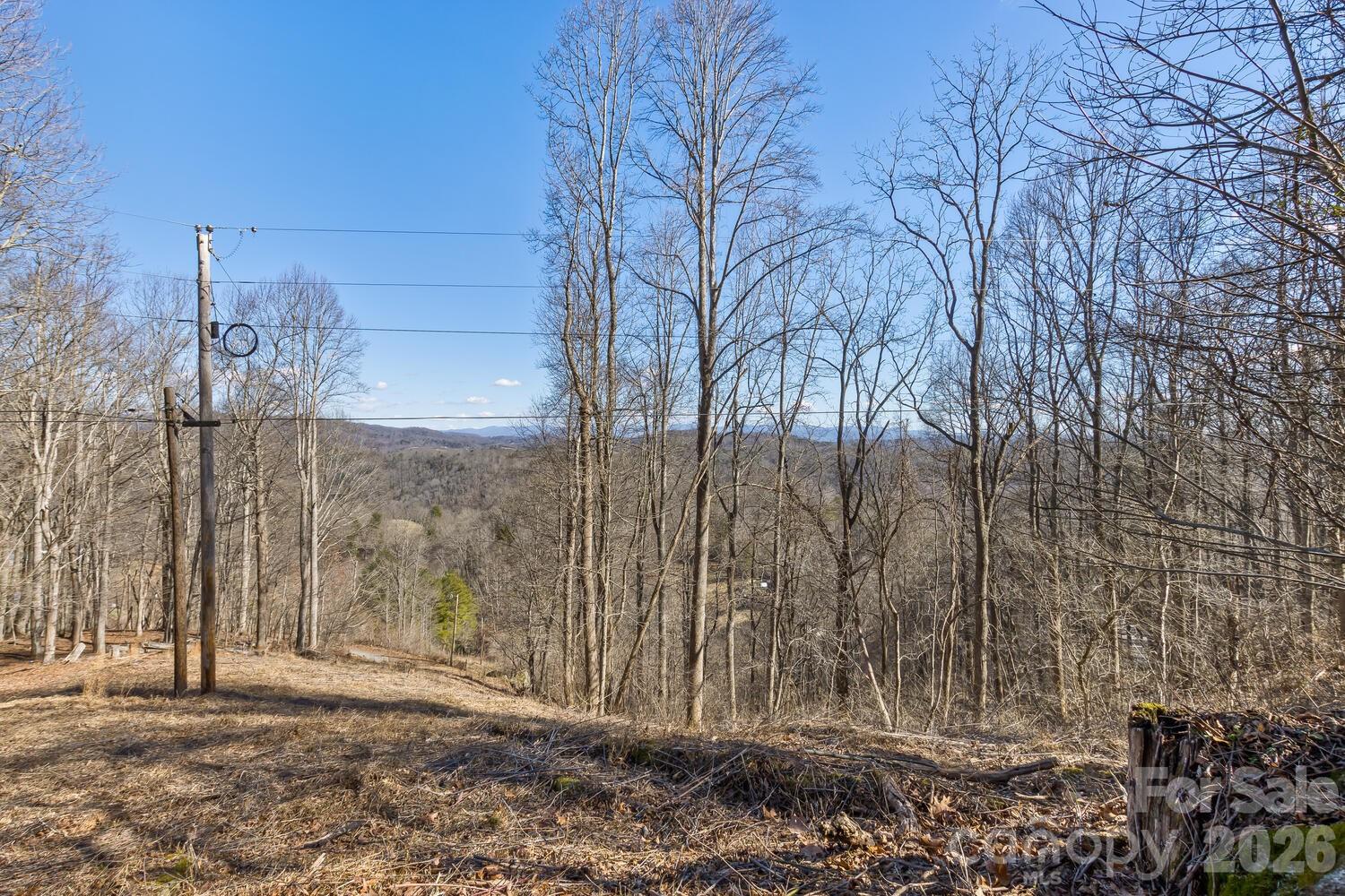 99999 Anderson Branch Marshall NC 28753