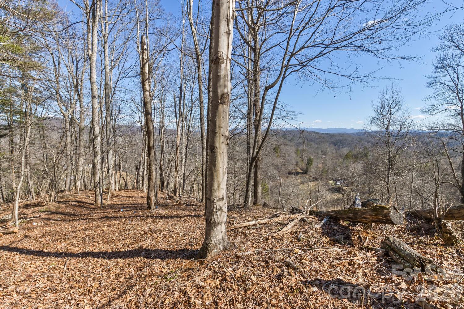 99999 Anderson Branch Marshall NC 28753