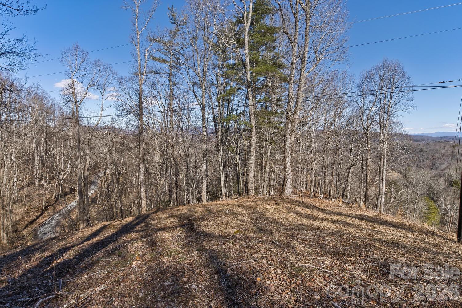 99999 Anderson Branch Marshall NC 28753