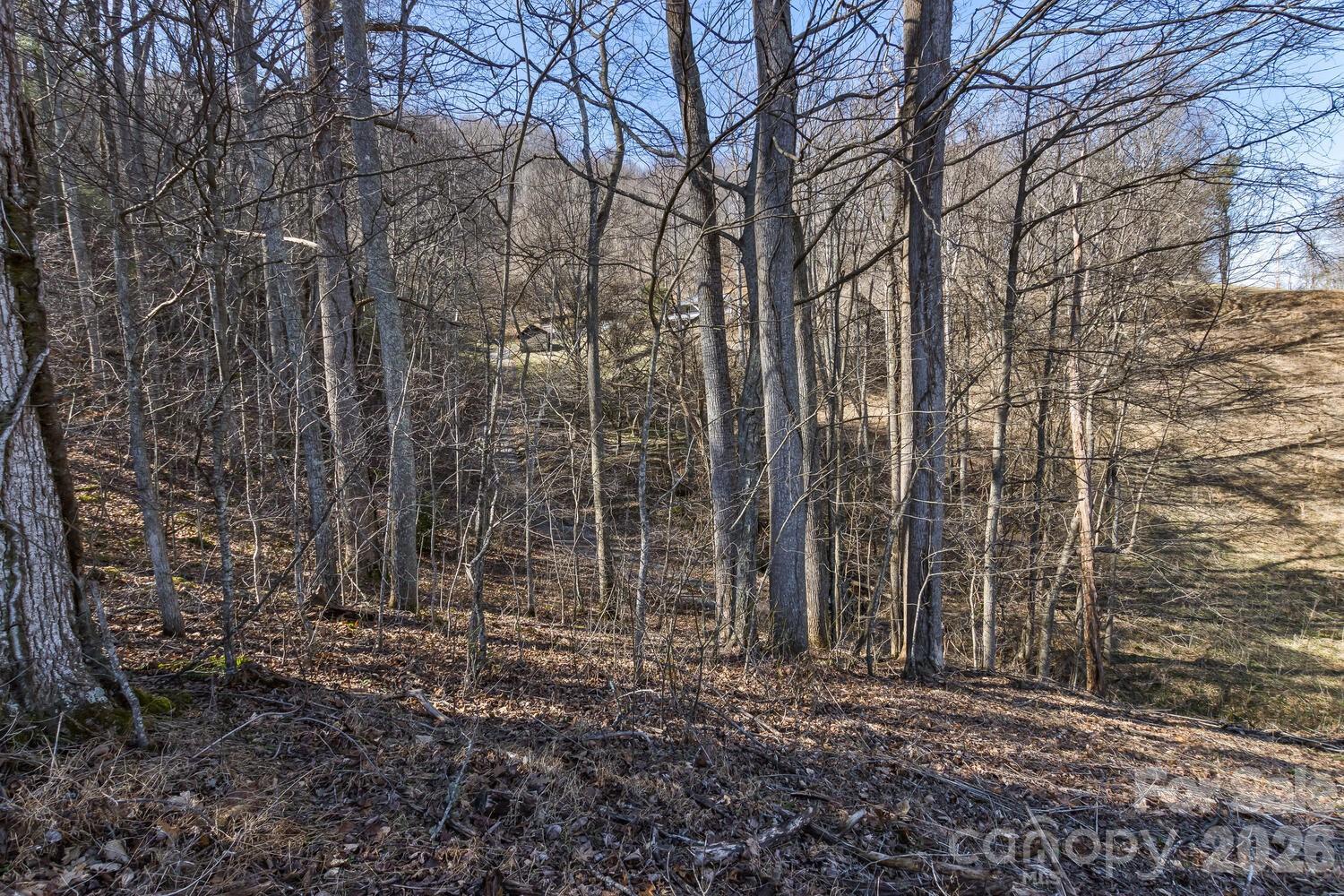 99999 Anderson Branch Marshall NC 28753