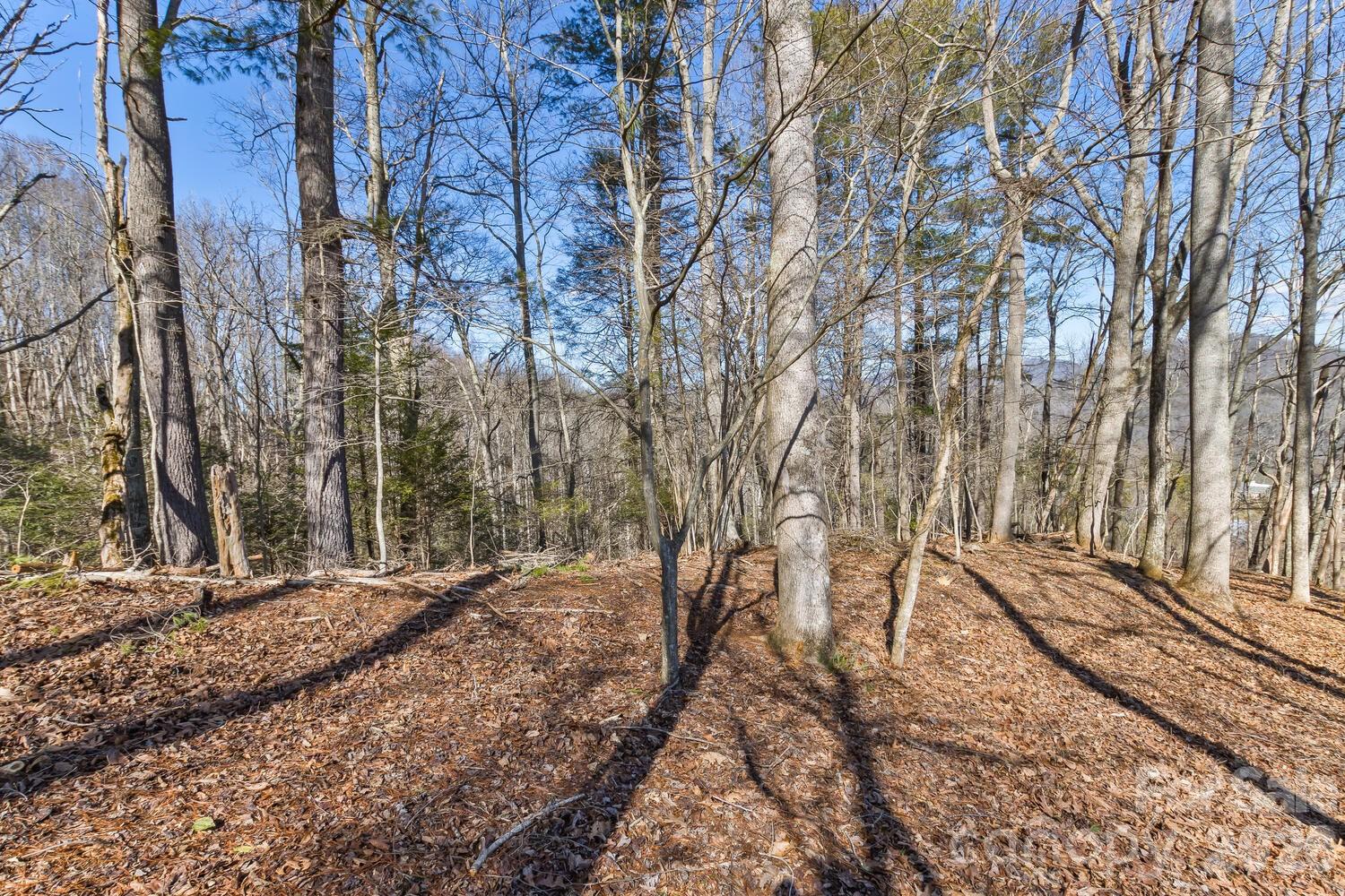 99999 Anderson Branch Marshall NC 28753