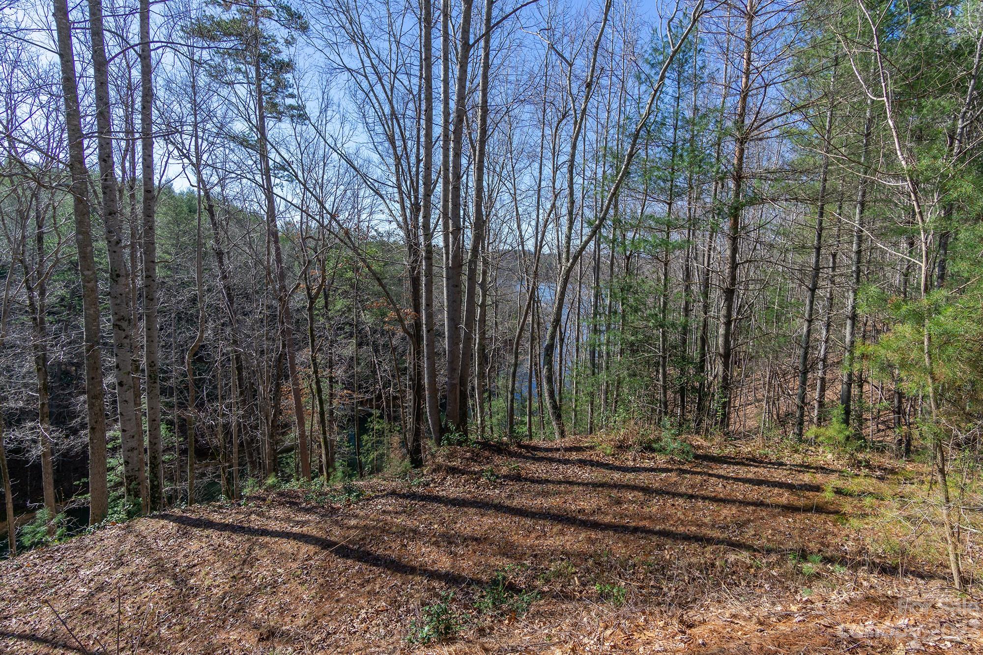 V/l Sunset Point Parkway Marion NC 28752