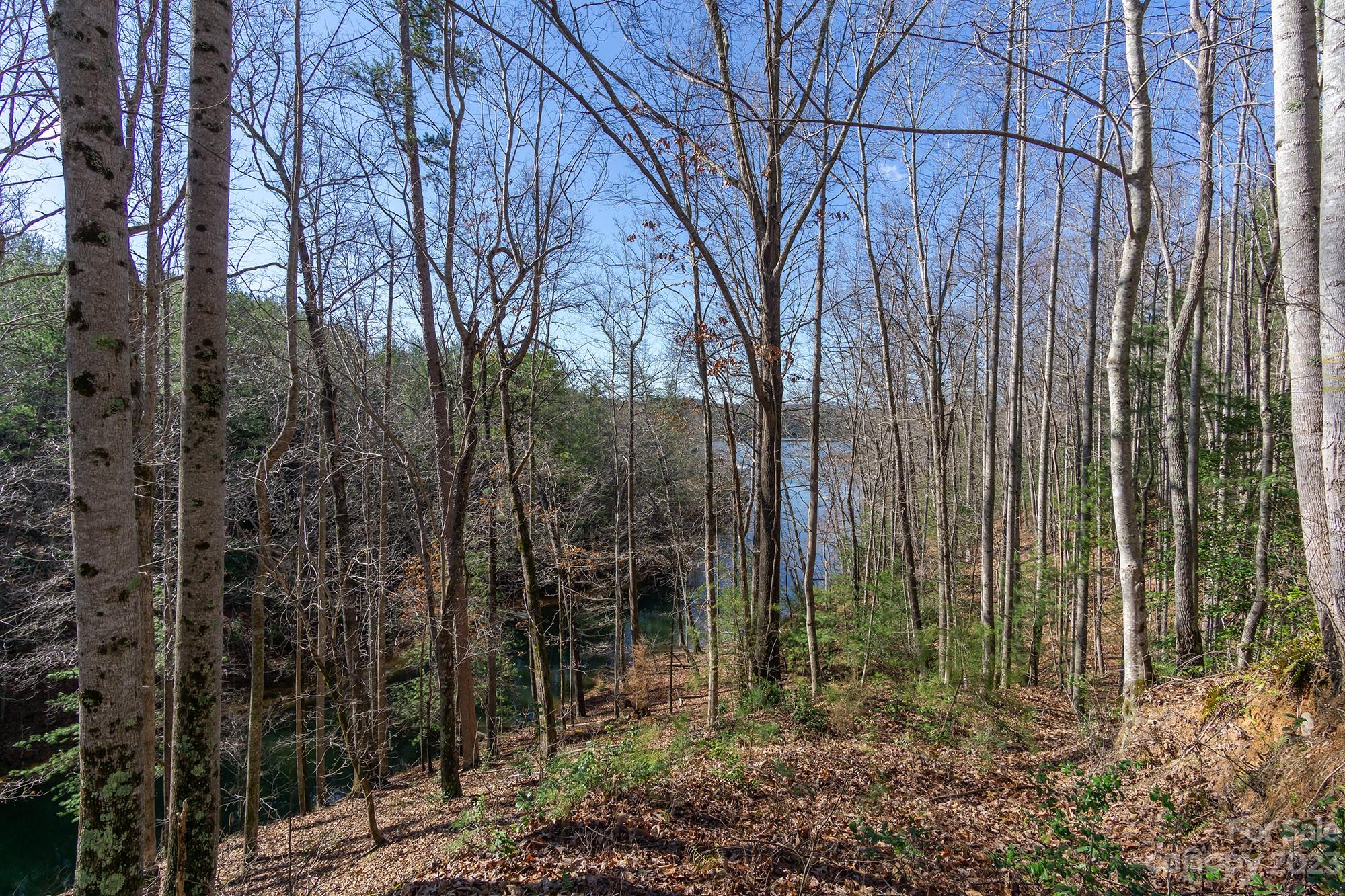 V/l Sunset Point Parkway Marion NC 28752
