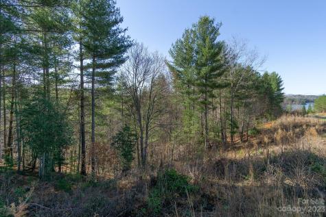 V/l Sunset Point Parkway Marion NC 28752