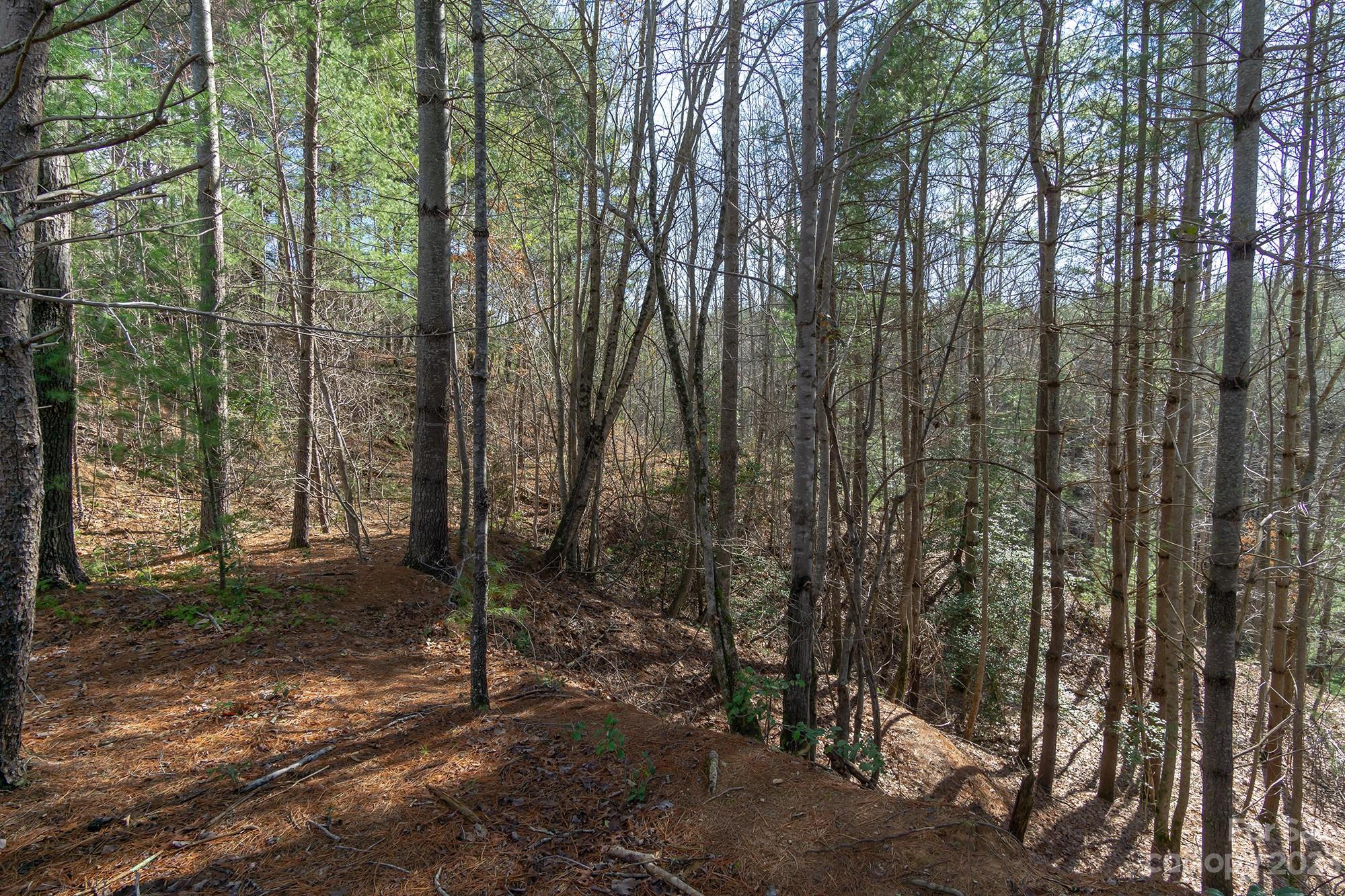 V/l Sunset Point Parkway Marion NC 28752