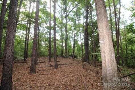 Lot 6 Lake Wylie Drive Rock Hill SC 29732