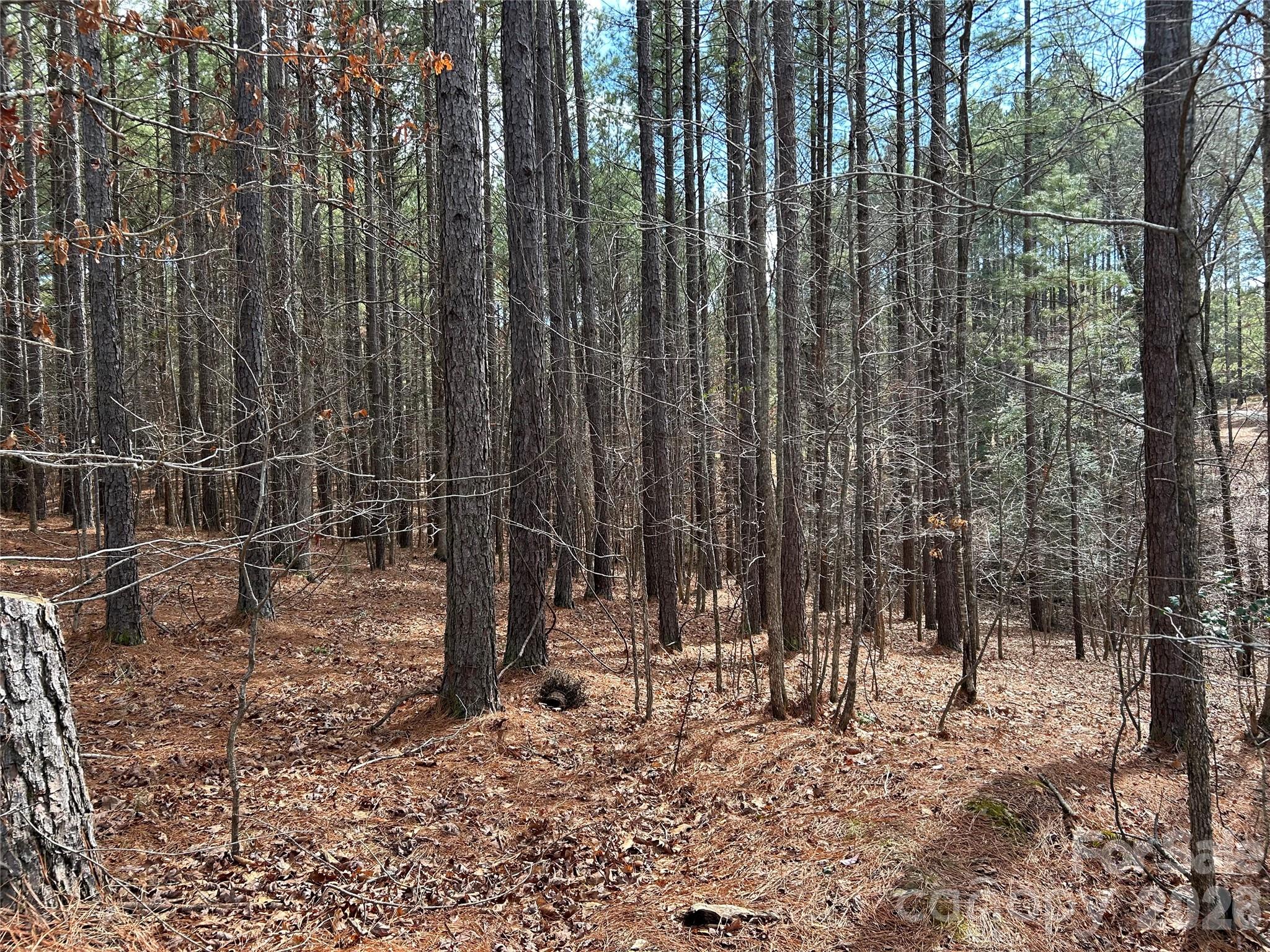 115 Water Oak Way Mount Gilead NC 27306