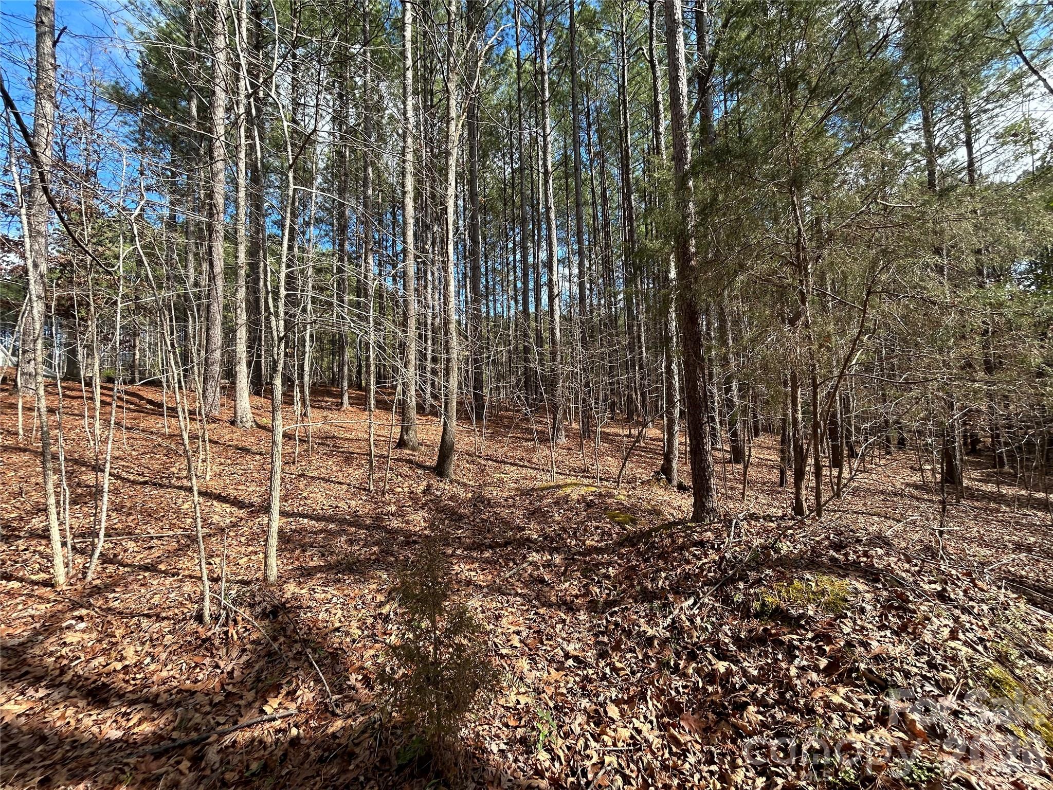 115 Water Oak Way Mount Gilead NC 27306