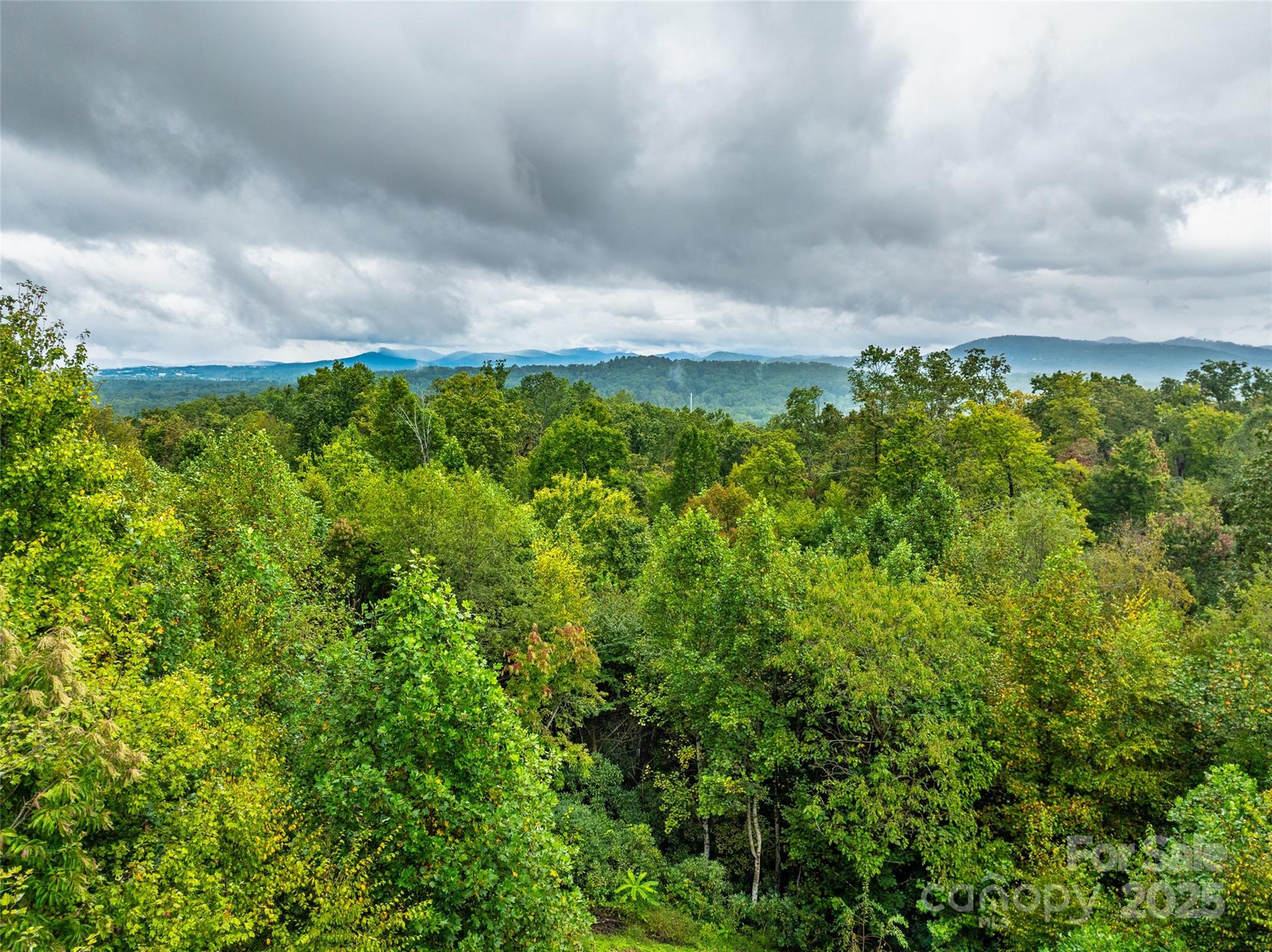 332 Millbrae Loop Hendersonville NC 28791