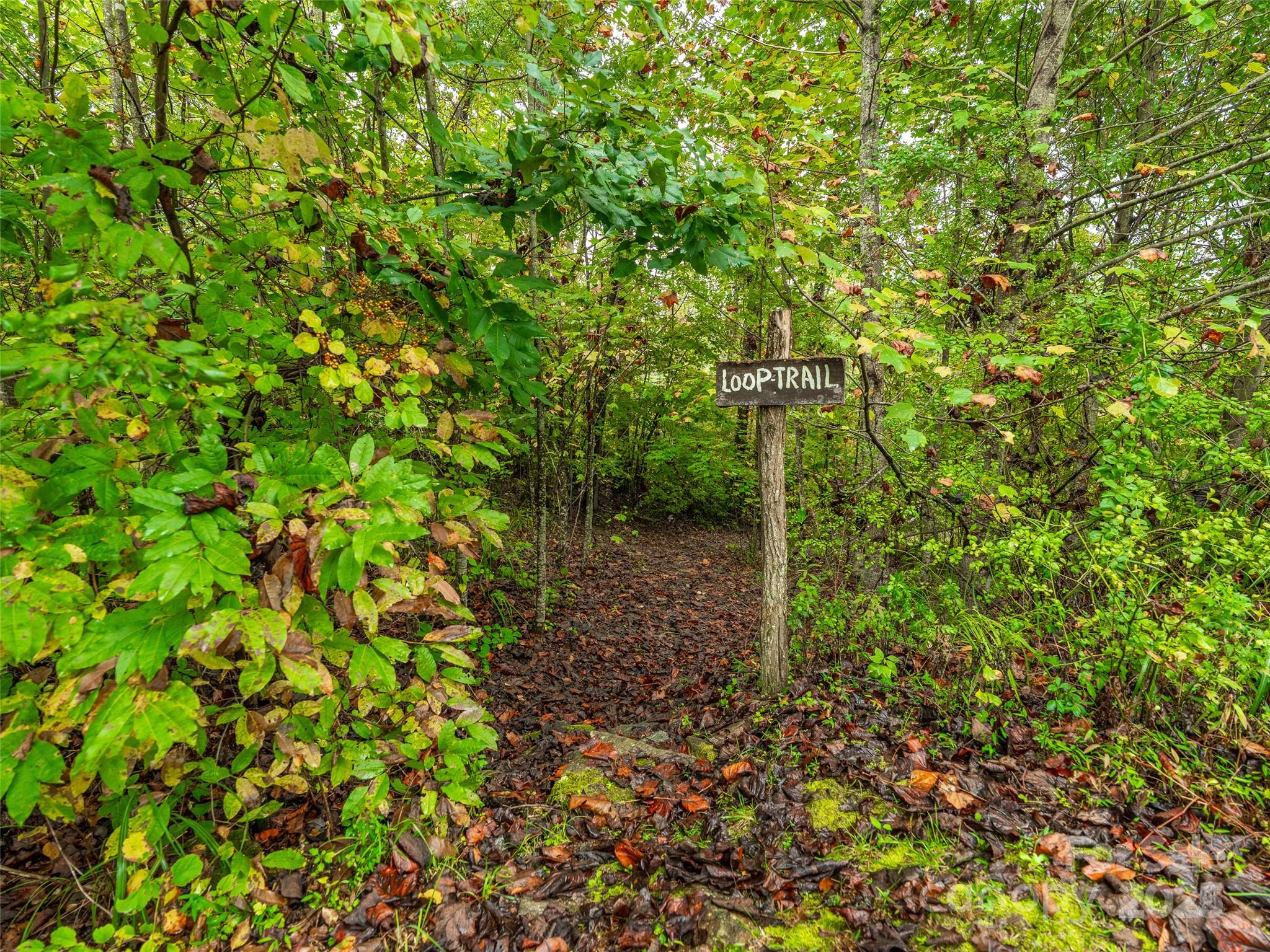 332 Millbrae Loop Hendersonville NC 28791