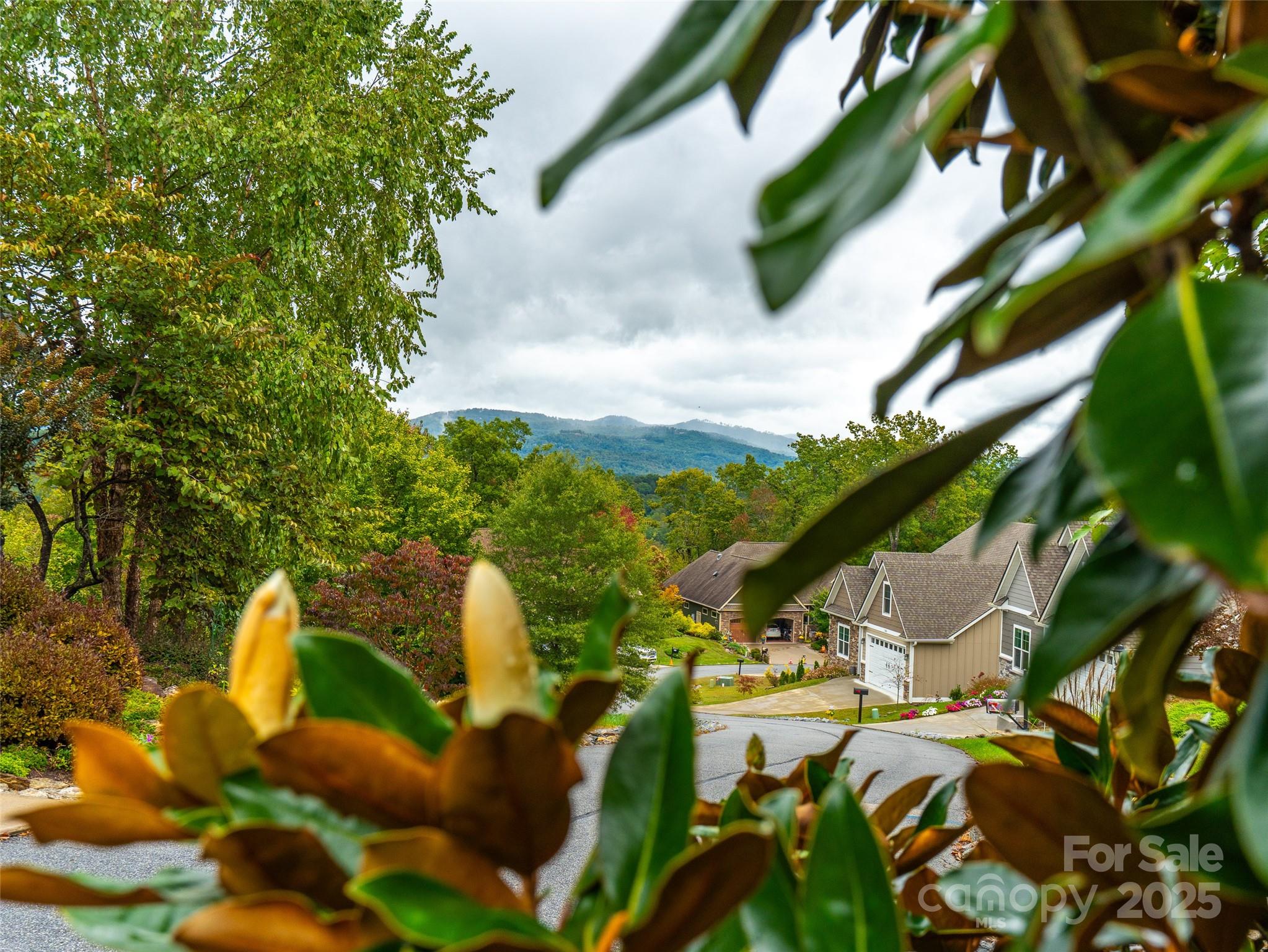 332 Millbrae Loop Hendersonville NC 28791