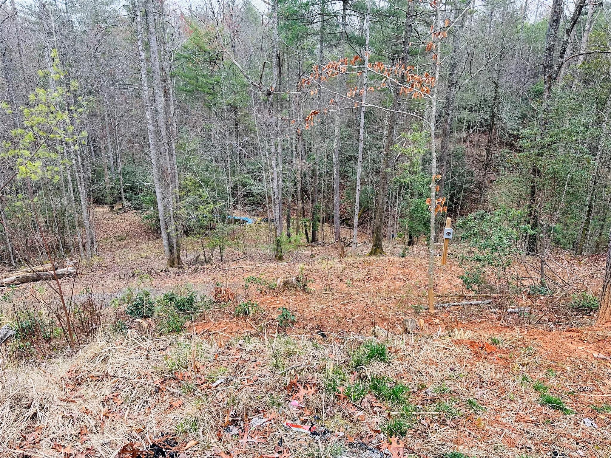 170 Forest Lake Heights Drive Nebo NC 28761