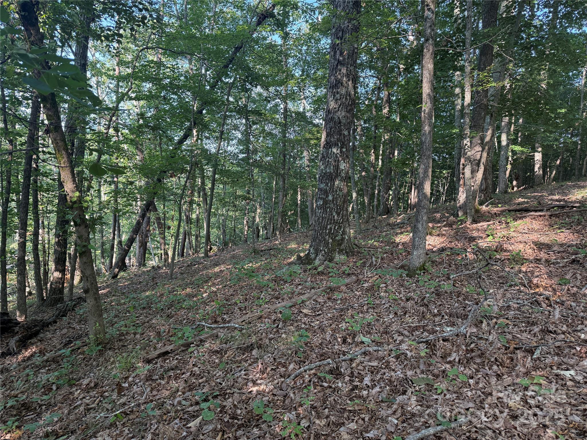 Lot 332 Scenic Vista Drive Nebo NC 28761