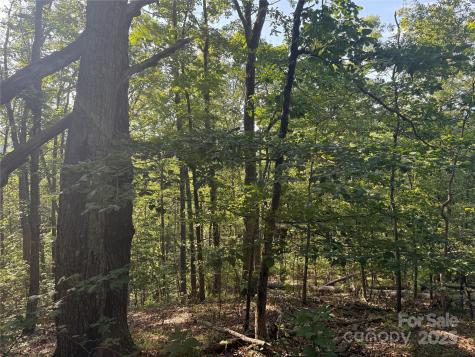 Lot 332 Scenic Vista Drive Nebo NC 28761