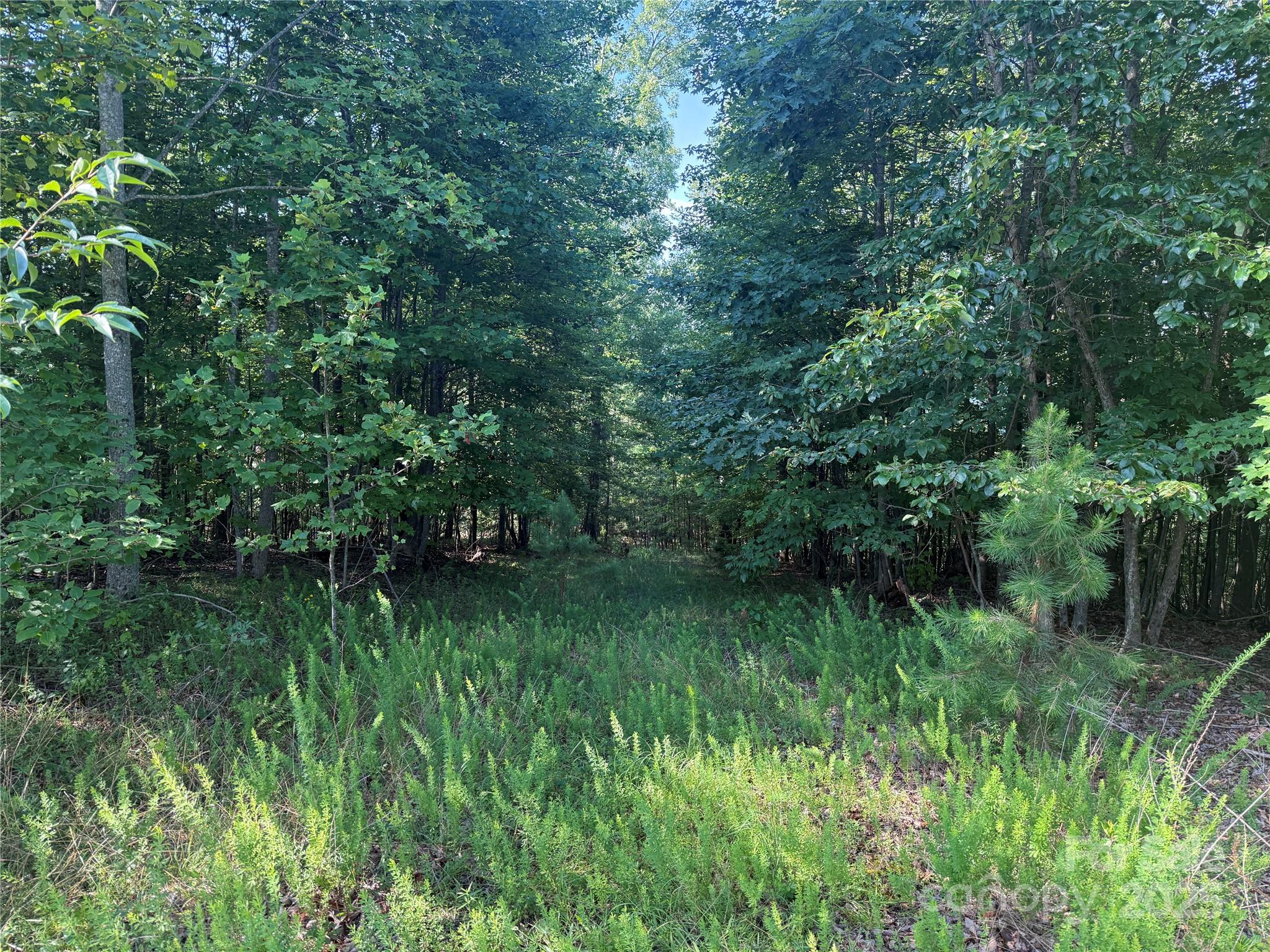 Lot 332 Scenic Vista Drive Nebo NC 28761